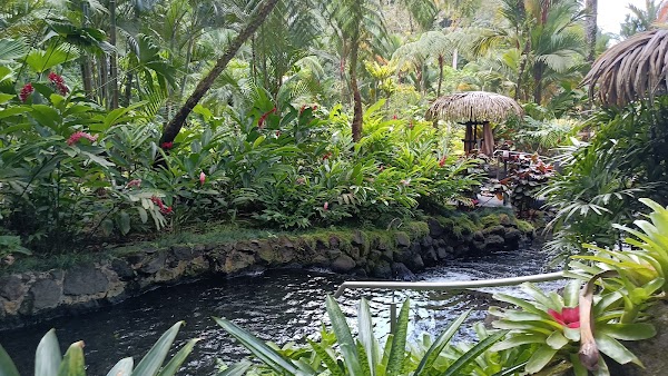 Tabacon Hot Springs 4