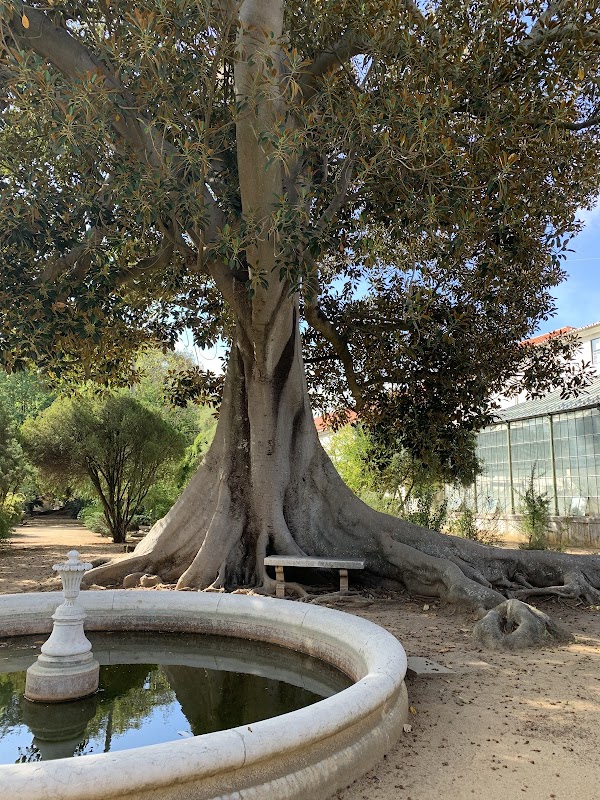 Jardim Botânico da Ajuda 4