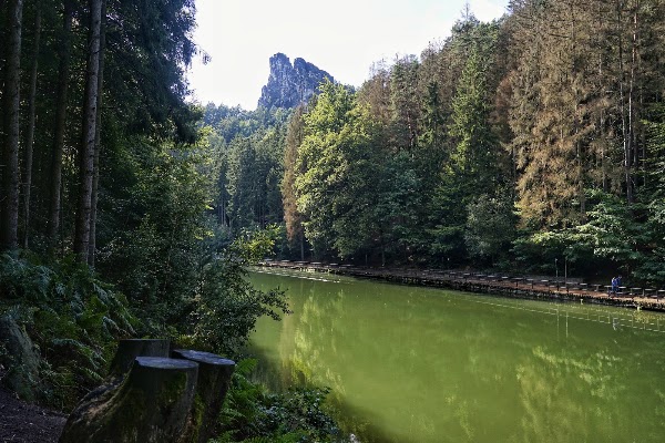 Amselsee 5