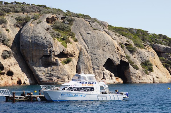 Woody Island Eco Tours 1