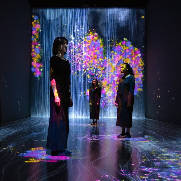 teamLab Future World 1