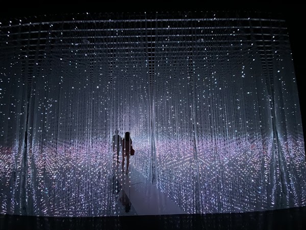 teamLab Future World 5