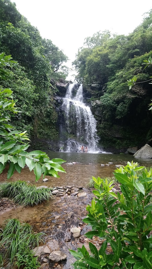 Bride's Pool Nature Trail 1