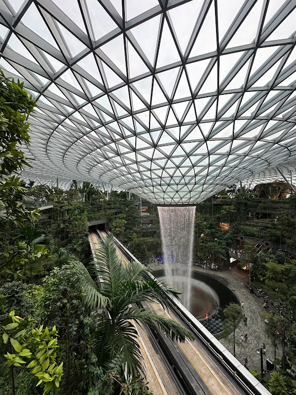 Canopy Bridge 1
