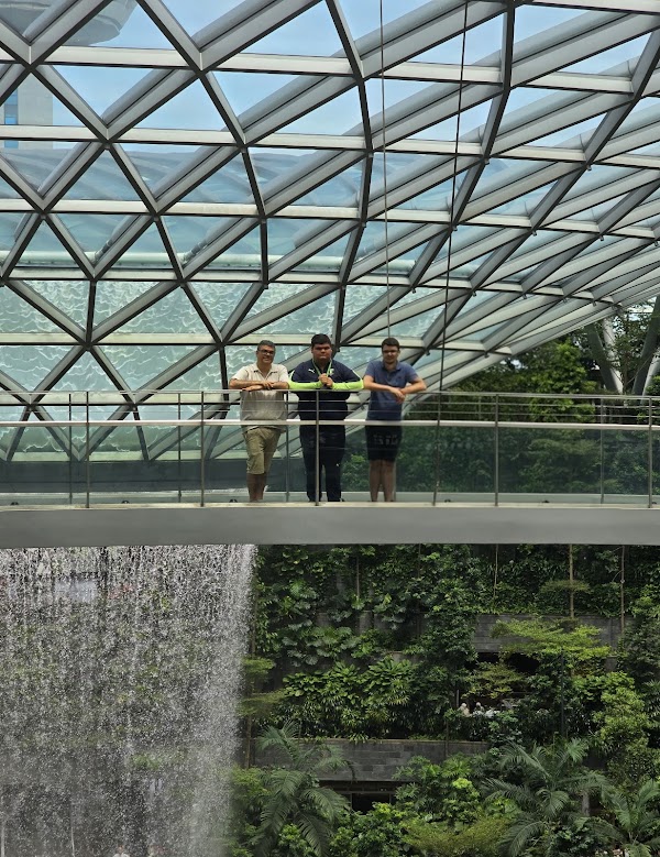 Canopy Bridge 5