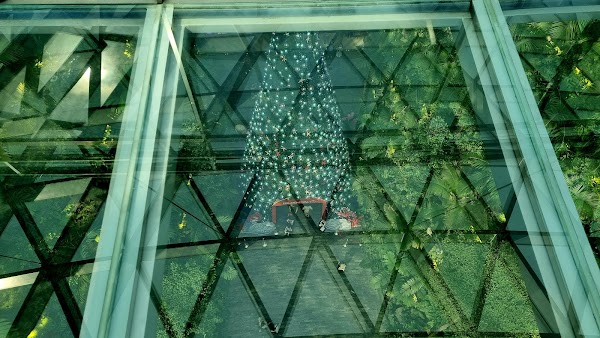 Canopy Bridge 4