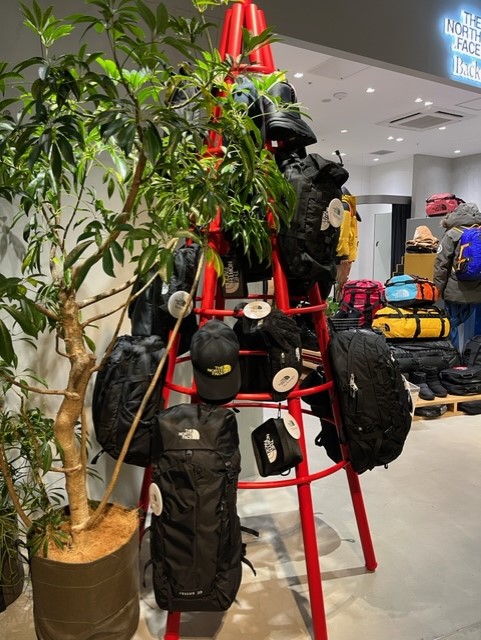 THE NORTH FACE Backmagic 4