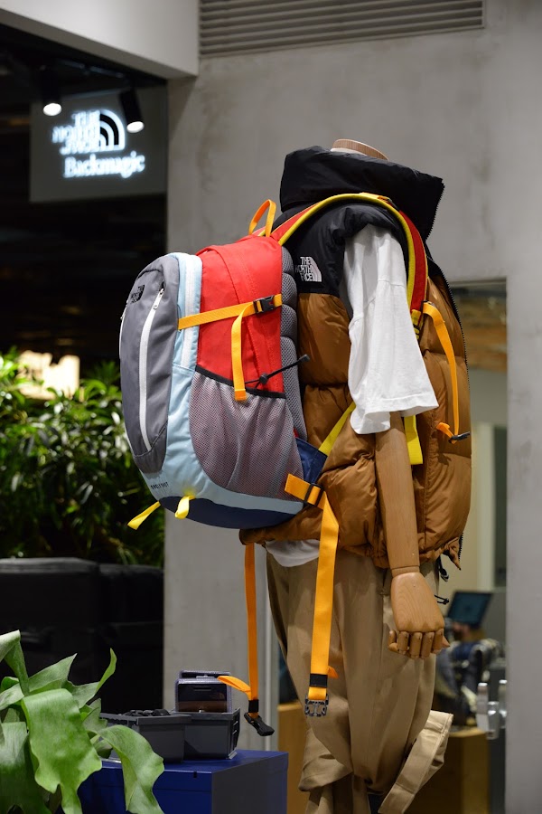 THE NORTH FACE Backmagic 3