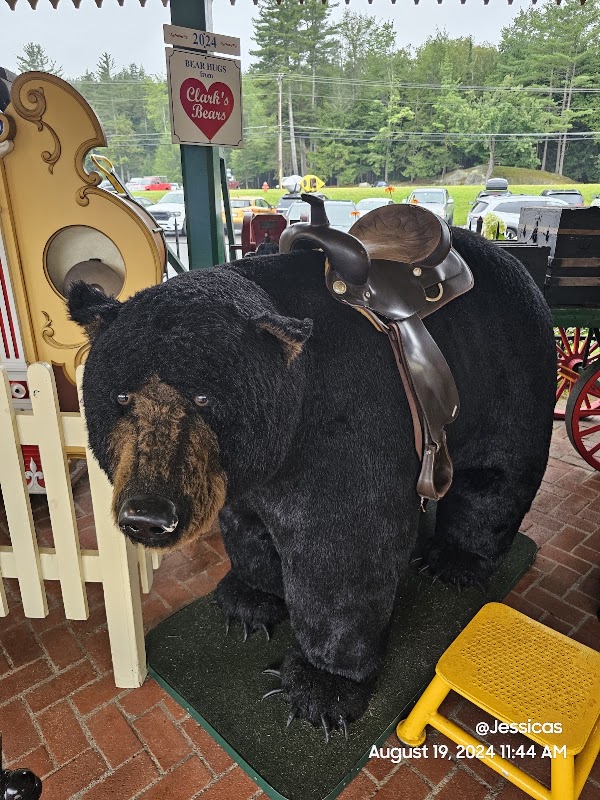 Clark's Bears 4