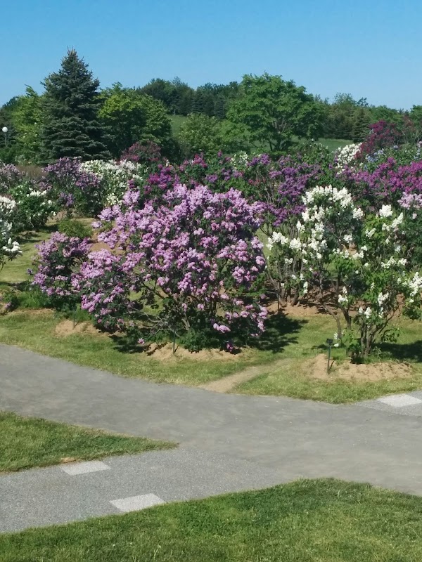 Kawashimo Park