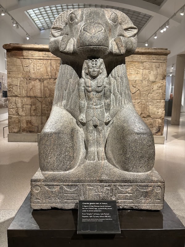 Ashmolean Museum 4