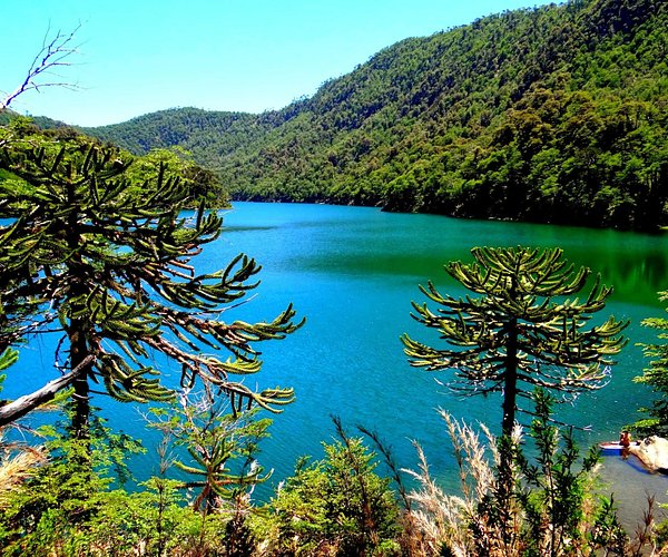 Parque Nacional Huerquehue