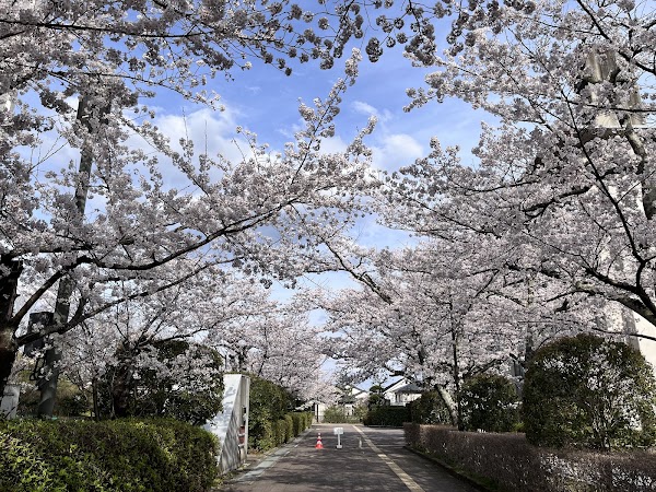 Ritsumeikan University 1