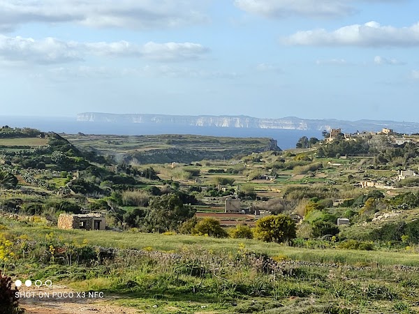 🇲🇹