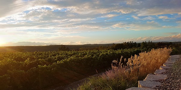 Adamo Estate Winery