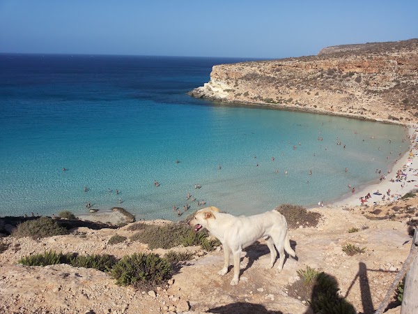 Lampedusa 5
