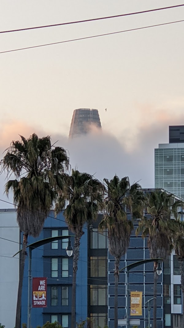 Dogpatch