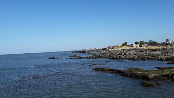 Rambla Presidente Wilson 2