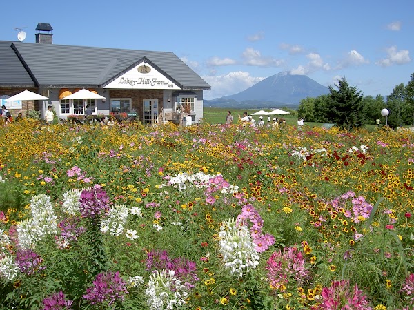 Lake Hill Farm 3