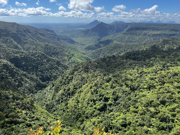 Black River Gorges National Park
