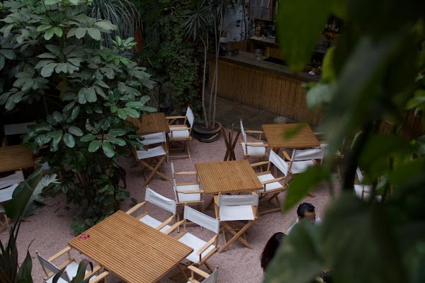 Restaurante Salvaje 1