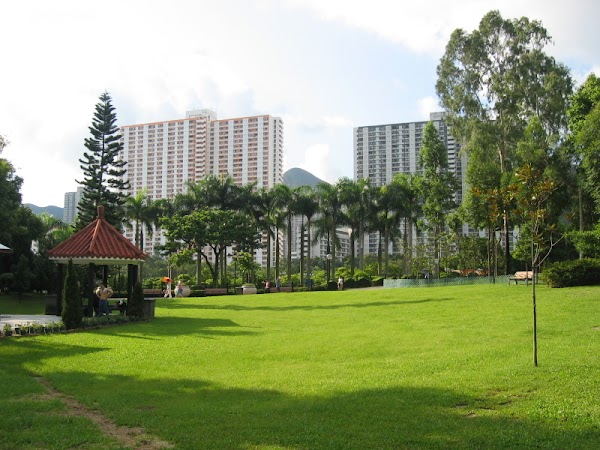 Sha Tin Park 5