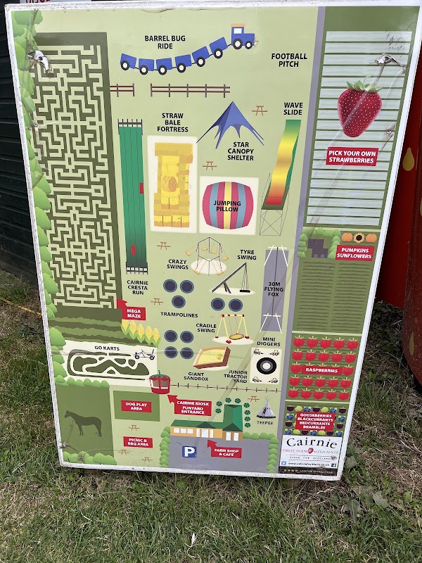 Cairnie Fruit Farm & Mega Maze 3