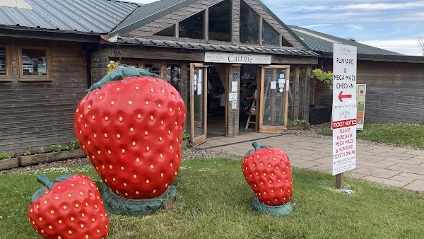 Cairnie Fruit Farm & Mega Maze 2