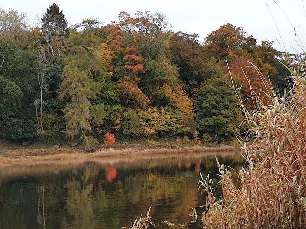 River Tweed