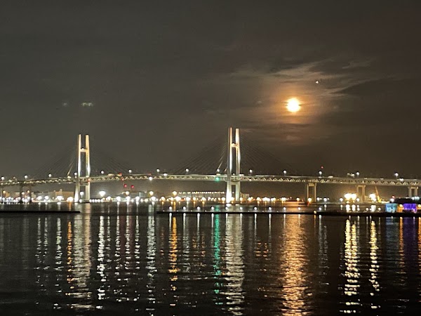 Osanbashi Pier 3