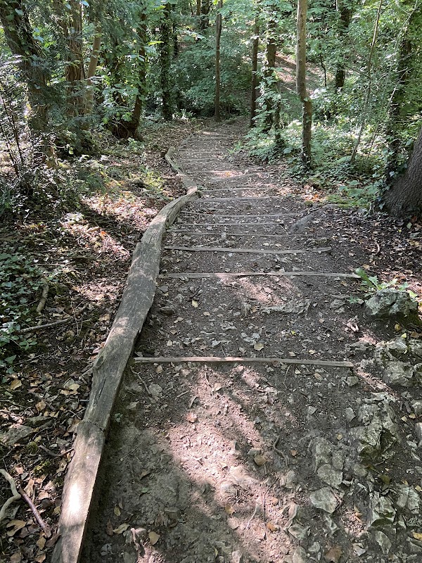 Marl Woods 1