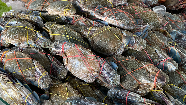 Mungkorn Seafood Buffet & Fish Market 5