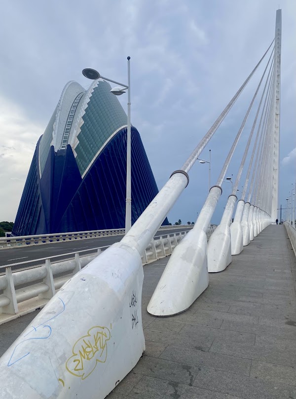 Puente Azud del Oro 5