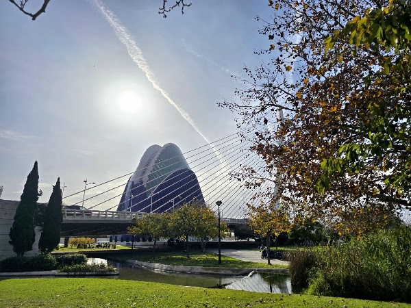 Puente Azud del Oro 4