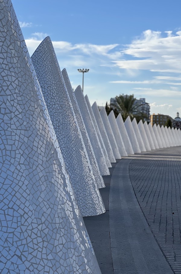 Puente Azud del Oro 2