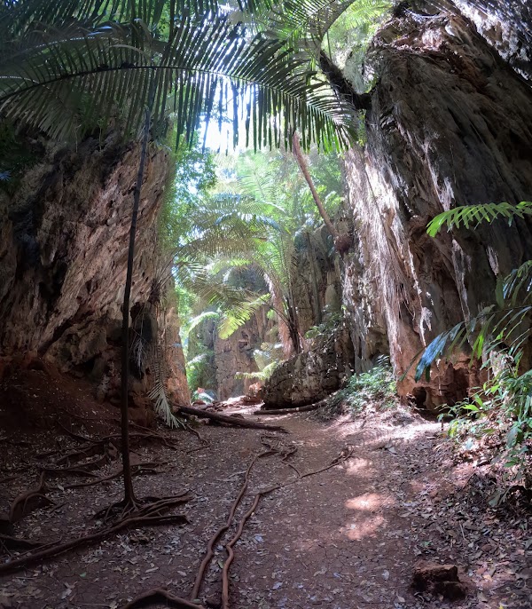 Emerald Lagoon Railay hike 3