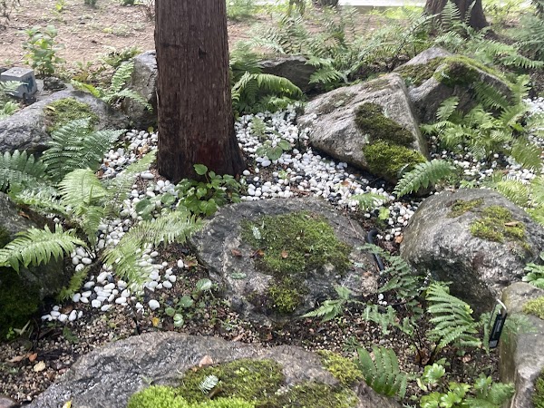 Yangjaecheon Cafe Street 1