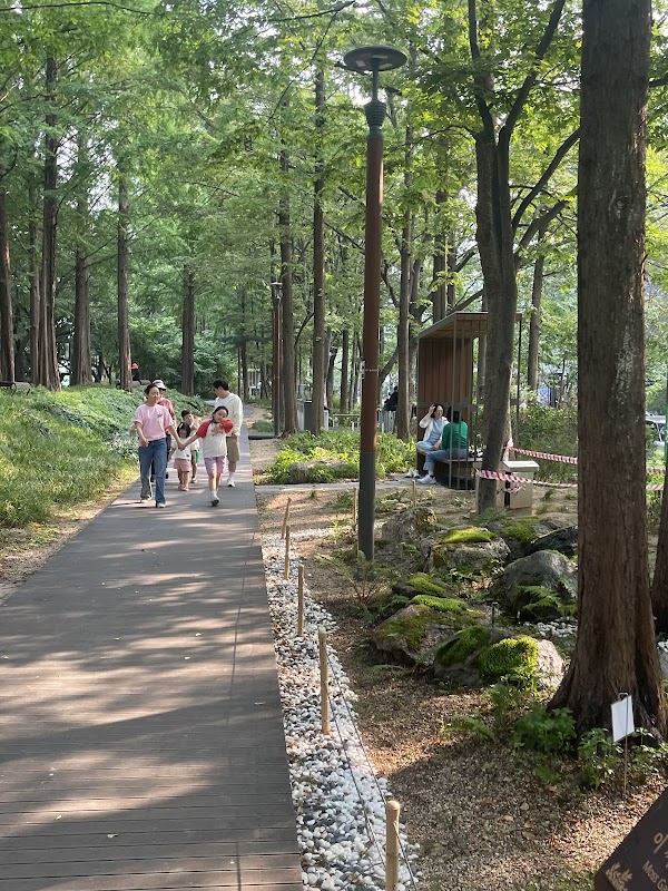 Yangjaecheon Cafe Street 4