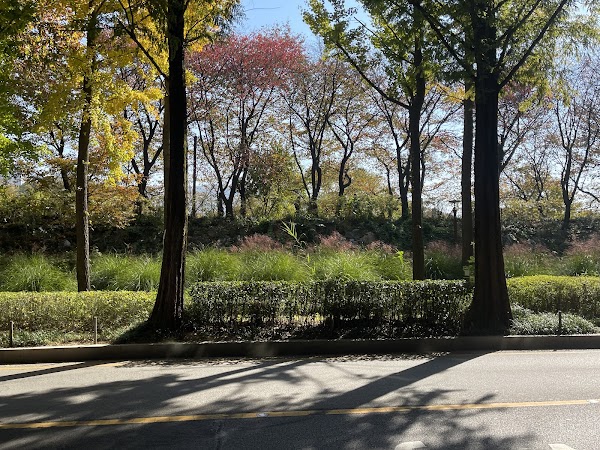 Yangjaecheon Cafe Street 3