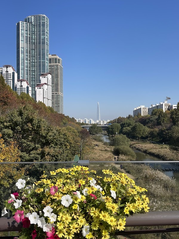 Yangjaecheon Cafe Street 2