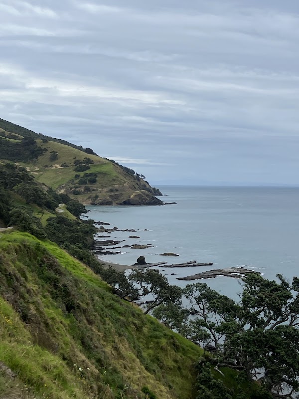 Lookout 5