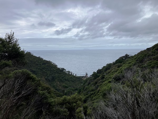 Lookout 4