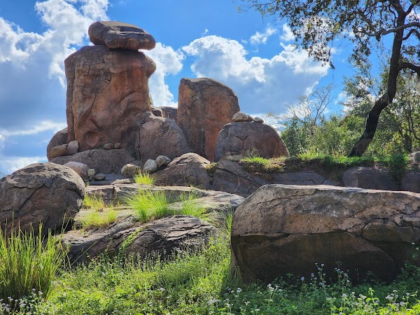 Kilimanjaro Safaris 3