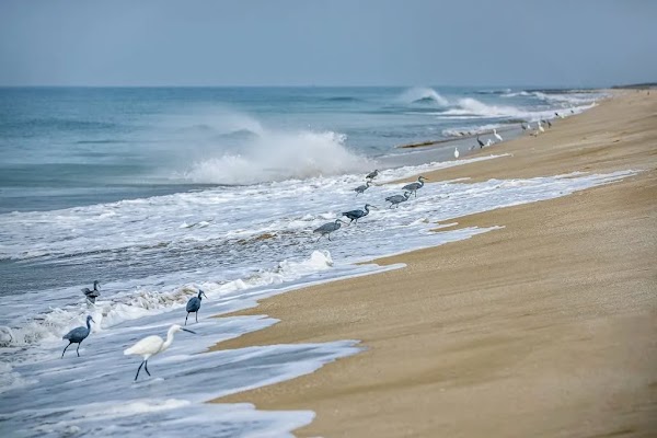 Madhavpur Beach