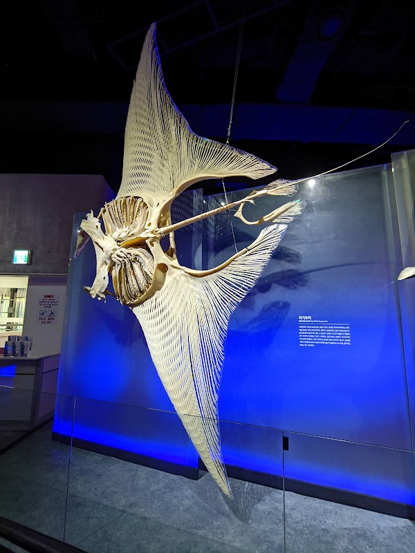 National Marine Biodiversity Institute of Korea
