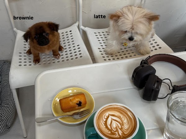 D Coffee 5