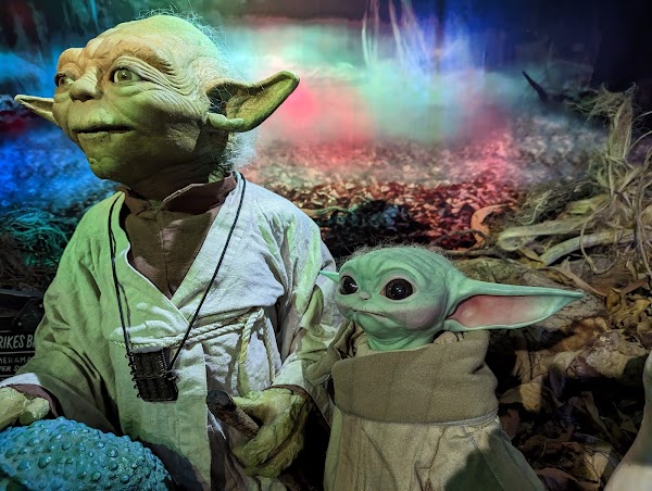 Yoda Guy Movie Experience 5