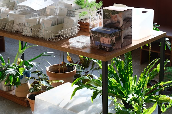 seoul coffee sanghoe 2