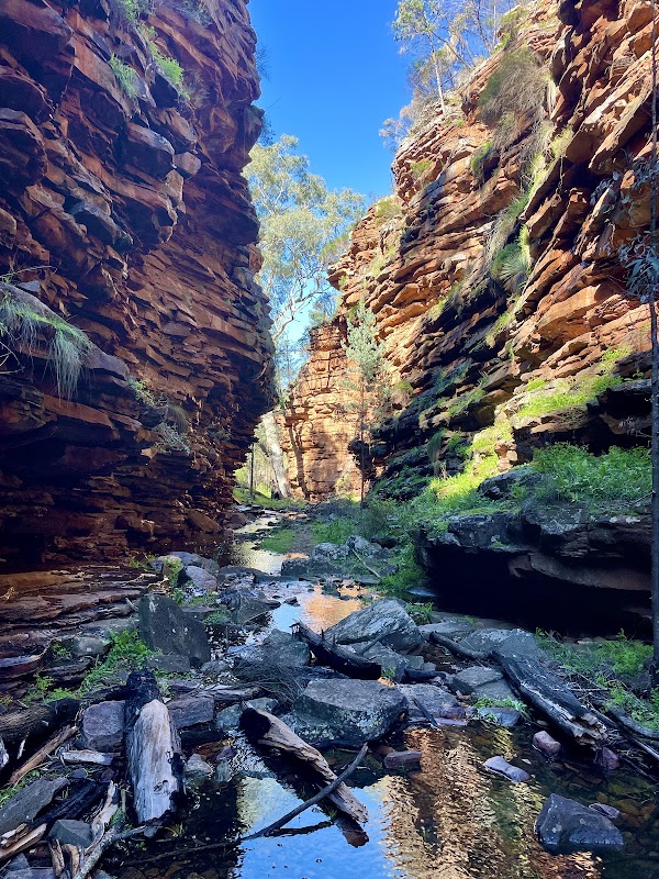 Alligator Gorge