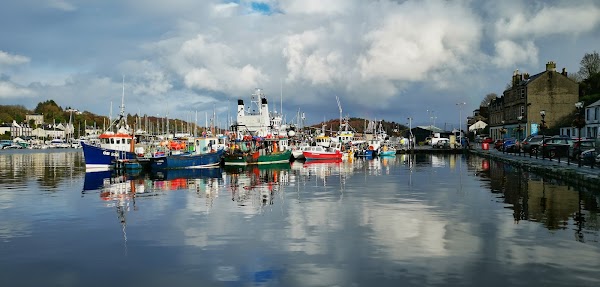 Tarbet